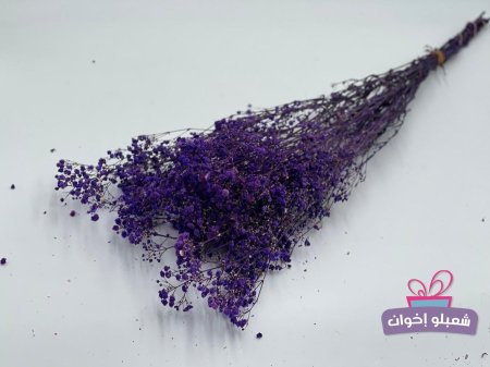 بنفسجي غامق